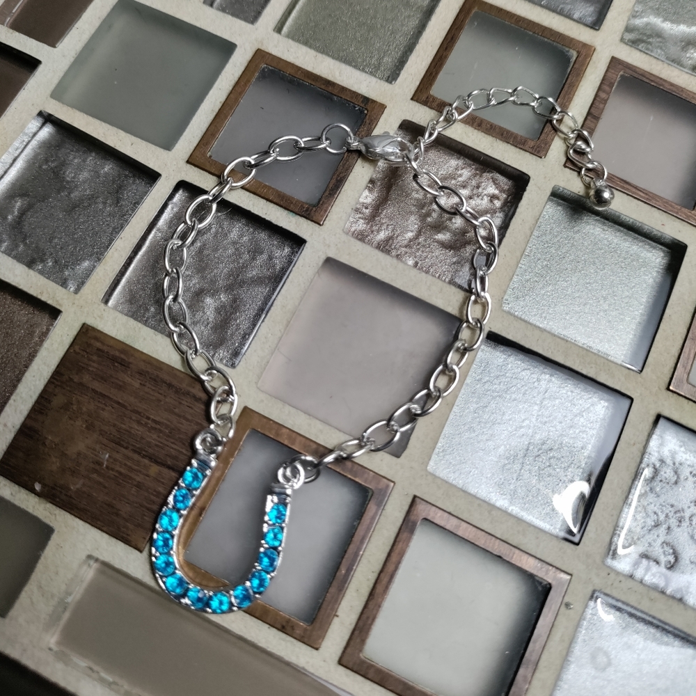 Vintage Blue Horseshoe bracelet-$5 add on